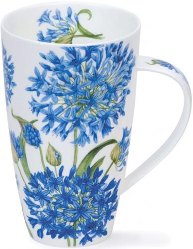 Agapanthus by Henley