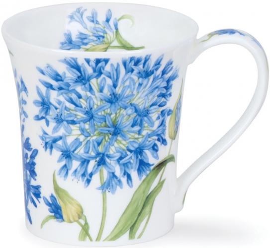 Agapanthus by Jura