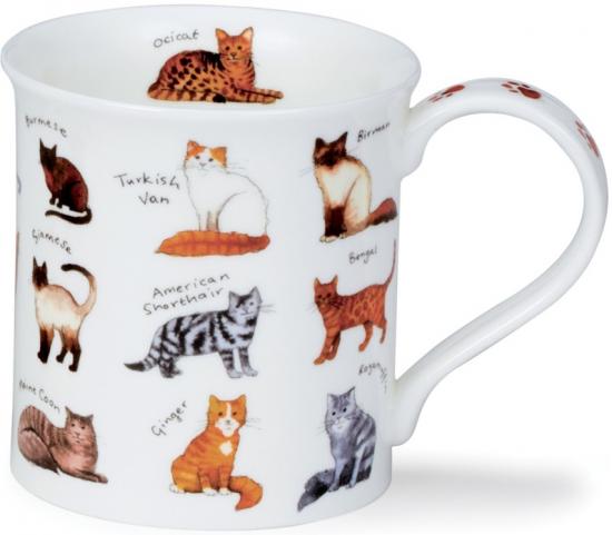 Animal Breeds by Bute Cat