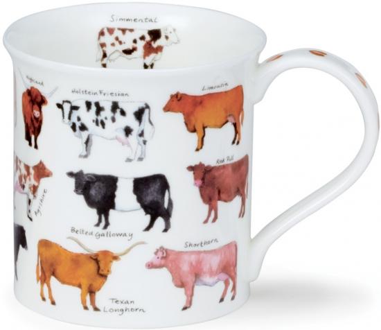 Animal Breeds by Bute Cow