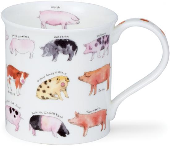 Animal Breeds by Bute Pig