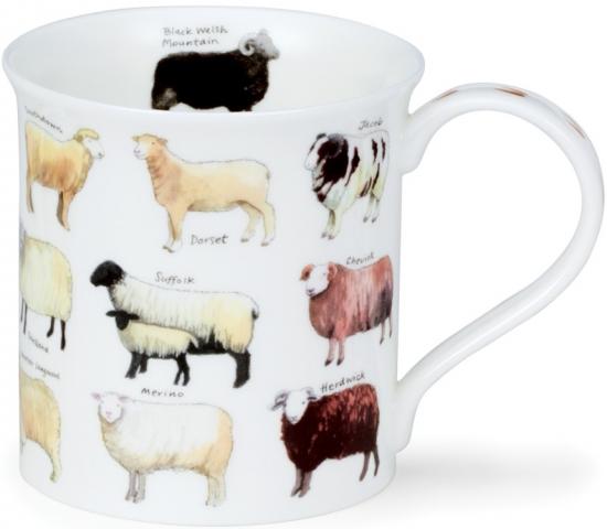 Animal Breeds by Bute Sheep