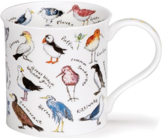 Birdlife by Bute Coastal Birds