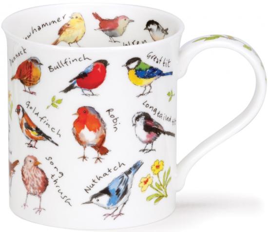 Birdlife by Bute Gartenvgel
