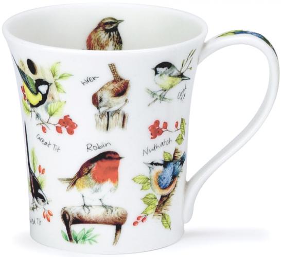 Birdlife by Jura Rotkehlchen
