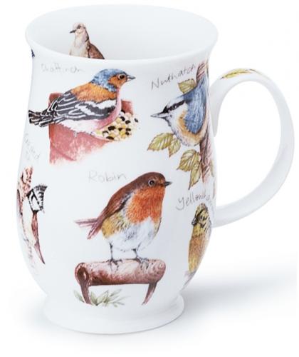 Birdlife by Suffolk Rotkehlchen
