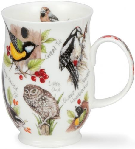 Birdlife by Suffolk Specht
