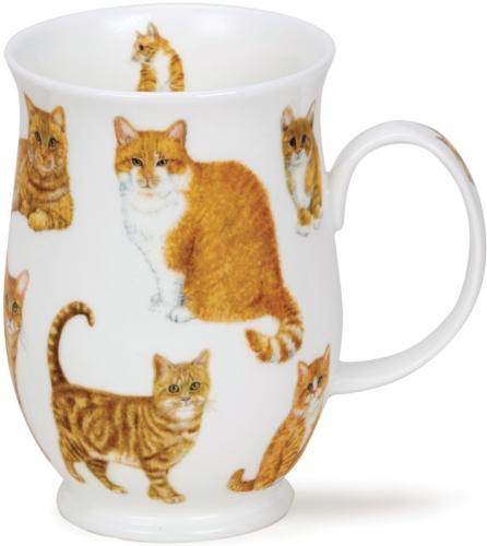 Cats by Suffolk Orange