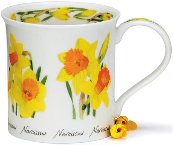 Spring Flowers by Bute Narzissen