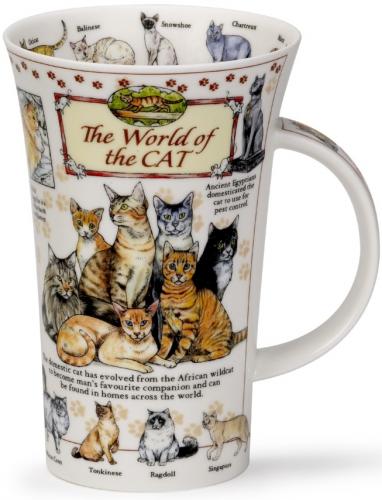 World of Cat by Glencoe