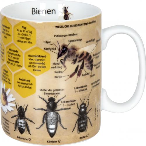 Biene Wissensbecher