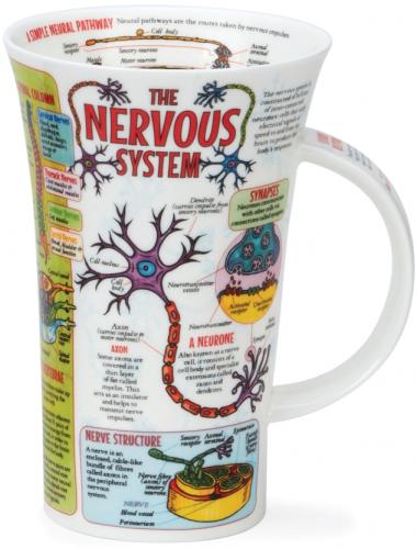 The Nervous System by Glencoe