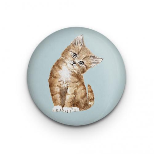 Sweet Kitty Magnet