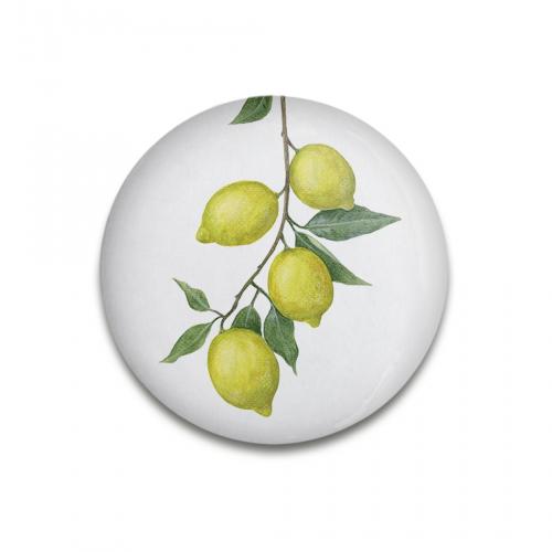 Sunny Lemons Magnet