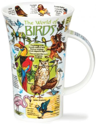 World of Birds by Glencoe