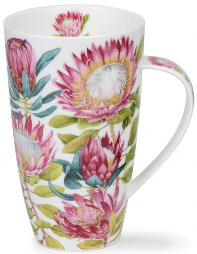 King Protea by Henley
