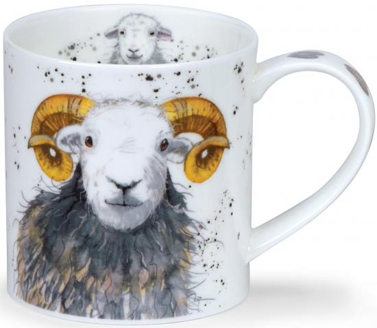 Shaggy Sheep by Orkney Herdwick