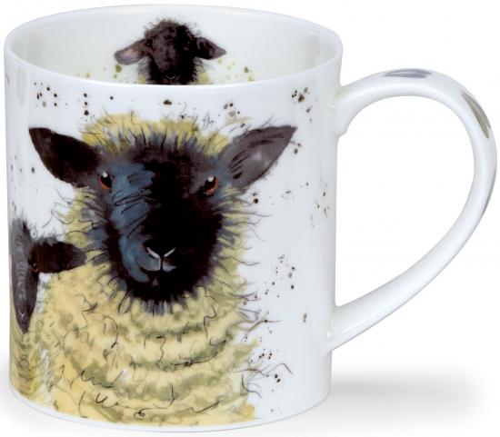 Shaggy Sheep by Orkney Suffolk