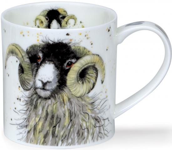 Shaggy Sheep by Orkney Swaledale