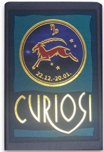 Sternzeichen-Puzzle Steinbock