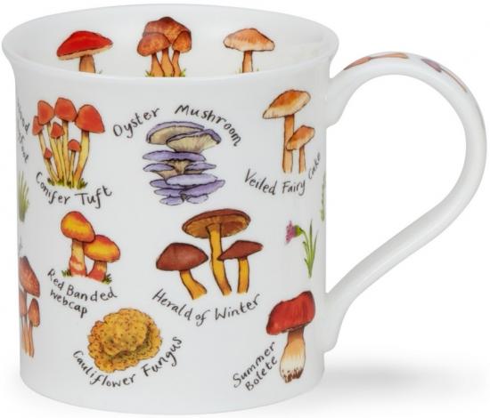 Mushrooms and Toadstools by Bute Lila