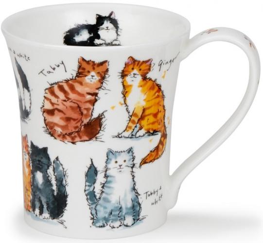 Messy Cats by Jura