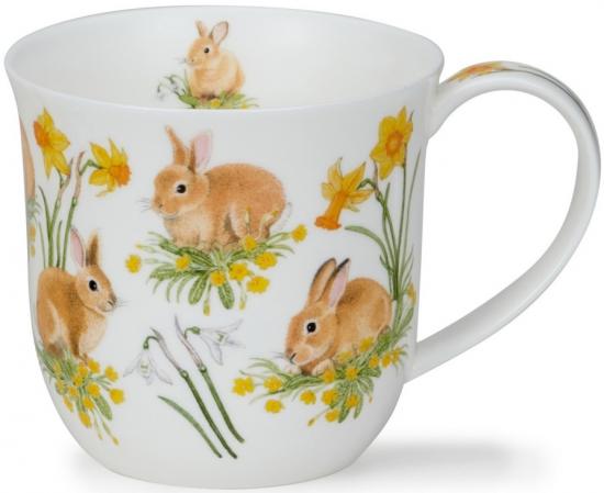 Bunnies by Cumbrae