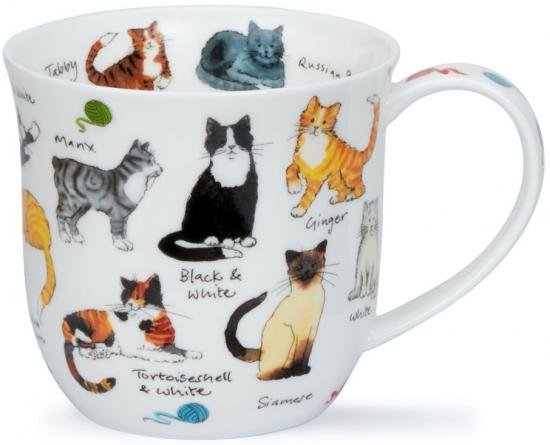 Cat Breeds by Cumbrae