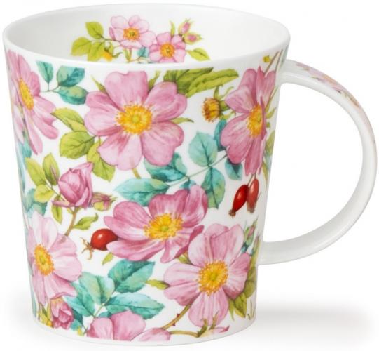Wild Rose by Benmore