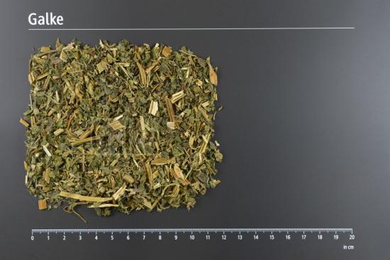 Brennnesselkraut geschnitten 1 OG = 5000 g