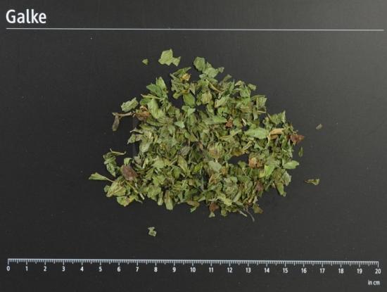 Pfefferminzbl�tter geschnitten BIO 1 OG = 5000 g