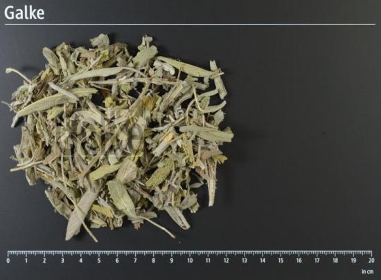 Salbeibltter ganz BIO 1 OG = 5000 g