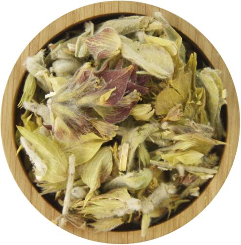 Griechischer Bergtee BIO - Menge: 50 g - Variante: ohne Teedose