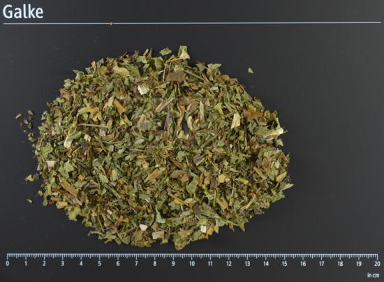 L�wenzahnbl�tter BIO geschnitten 1 OG = 5000 g