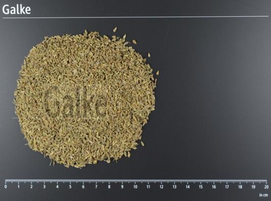 Anis BIO ganz 1 OG = 5000 g