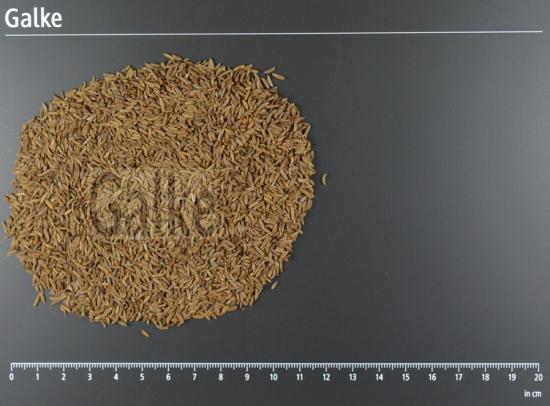 K�mmel BIO ganz 1 OG = 5000 g